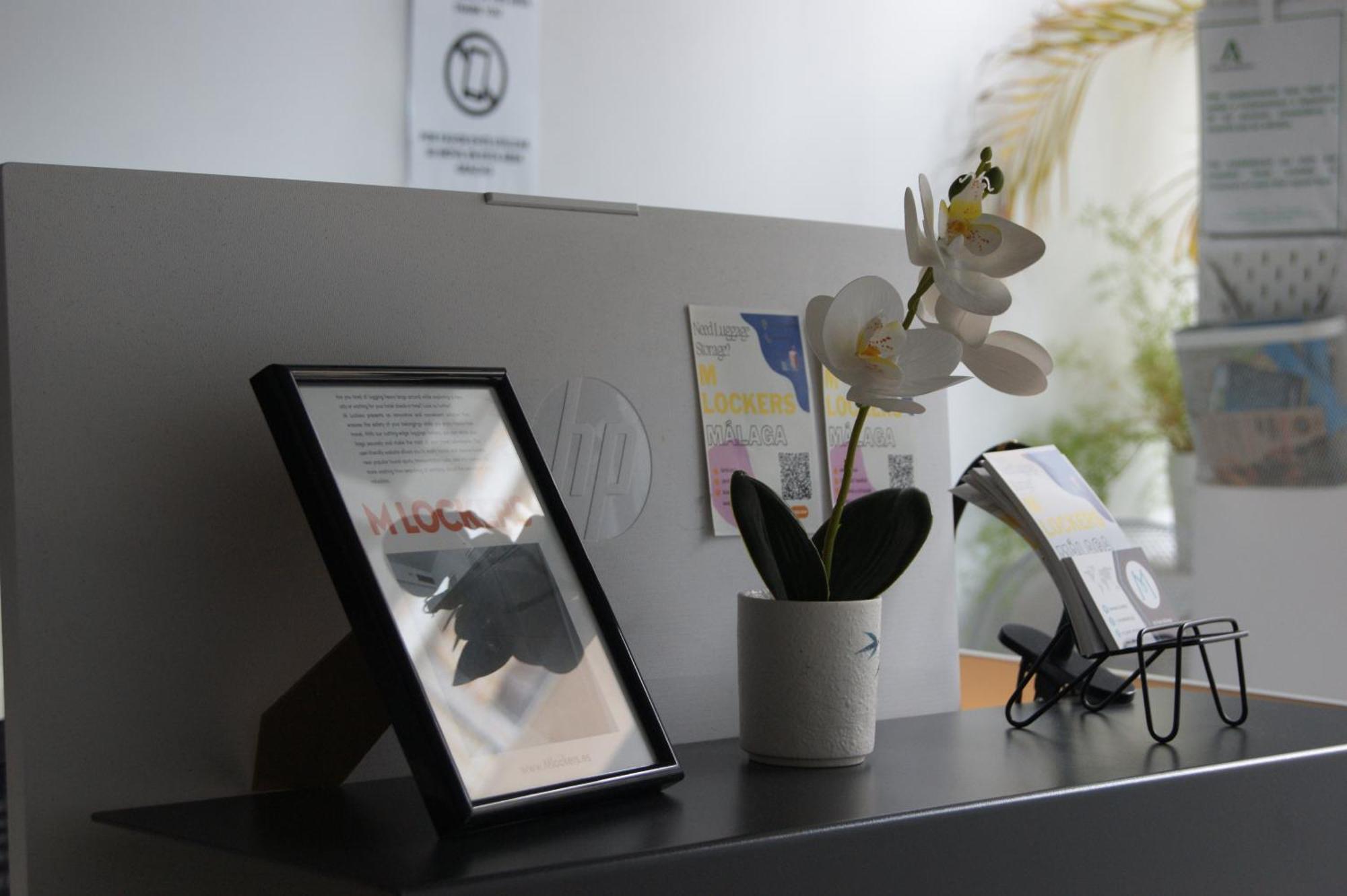 M Pods Malaga Otel Dış mekan fotoğraf